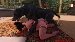 my dog lover